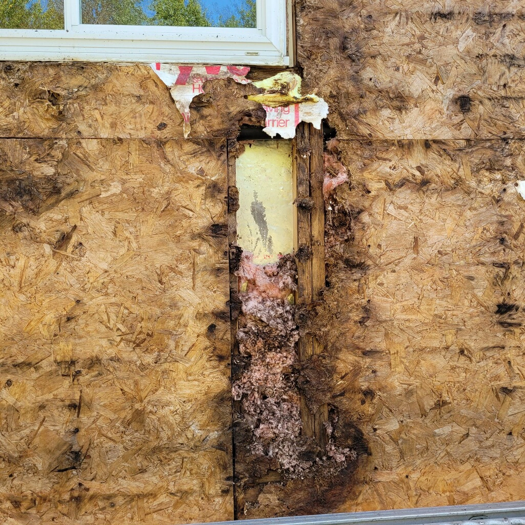 water damage underneath siding on a house